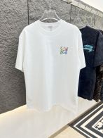 ロエベtシャツコーデスーパーコピー 個性的な雰囲気 クルーネック 100％綿 トップス 半袖 ロゴ刺繍 芸術感 ホワイト