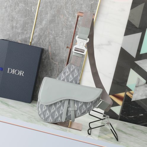 dior バッグコピー 斜め掛けバッグ 牛革 ロゴプリント ナイロン肩紐 型番1ADPO093 シンプルながら人気 グレイ